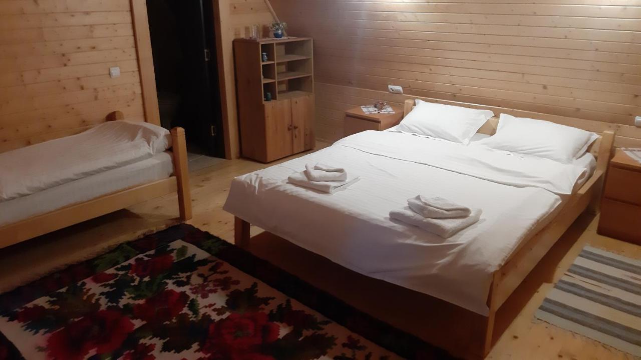 Casa Buga 호텔 Vişeu de Sus 외부 사진